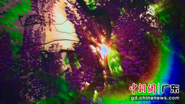 國際球幕數字藝術科普巡展廣州揭幕　主辦方供圖